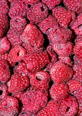 Pattern Of Red Raspberries