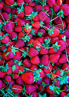 Red Strawberries