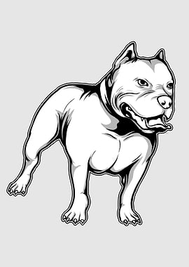 the American pit bull