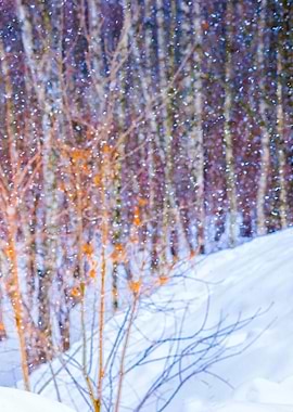 Forest Snowfall Right