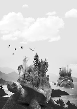 Turtle and the Trees