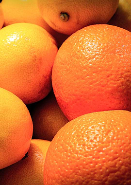 Lemons And Oranges Right