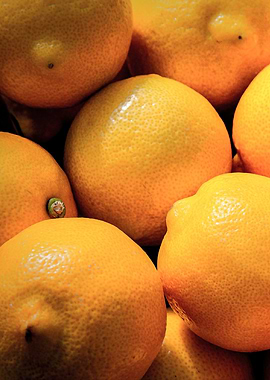 Lemons And Oranges Left