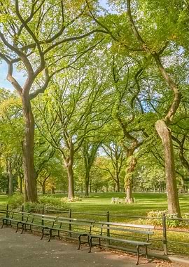 Central Park NYC