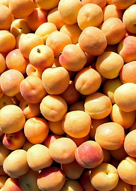 A Pile Of Apricot Fruits