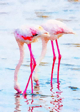 Flamingo Pink