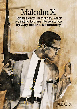 malcolm X quote 2
