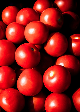 Red Tomato Vegetables
