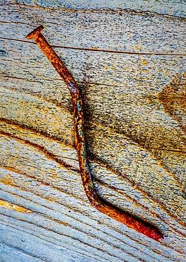 Rusty Nail On Wood