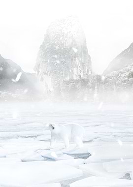 White bear on the ice