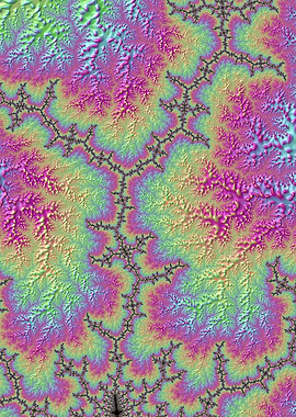 Rainbow Branching Fractal