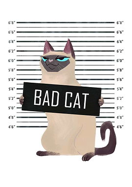 Bad Cat