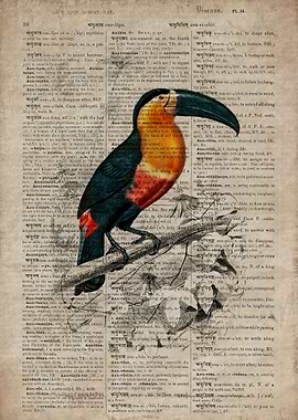 Toucan on old paper