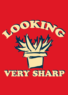 Vintage Cactus Rainbow 28