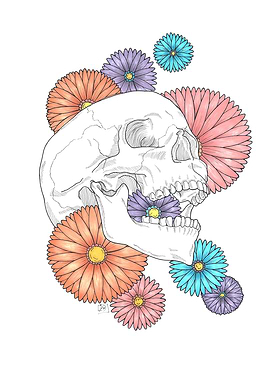 Spring skull