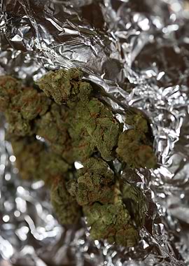 Cannabis AMG super skank