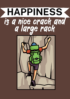 Climbing crack rack