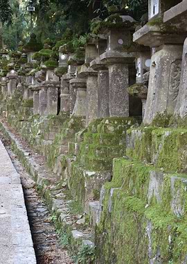 Lanterns of Kasuga Taisha