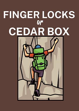 Climbing Locks Cedar Box