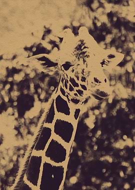 Retro Giraffe