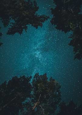 Straight up at Night