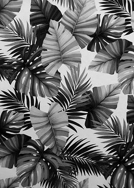 Palms leaves