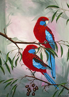 Rosellas