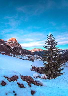 Dolomite and Tree Sunset