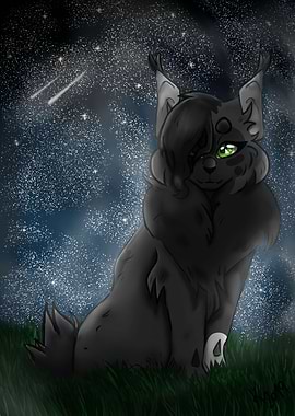 Cat in front of Star sky