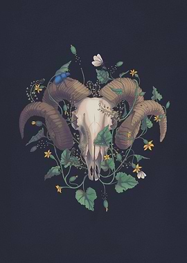 Sheepskull