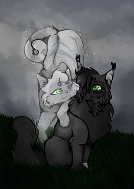 Cats Black and White