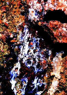 Wood trippy abstract macro