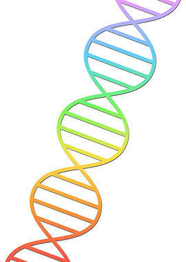 Rainbow DNA