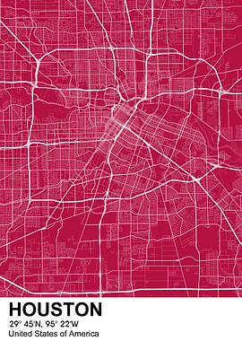 houston color city map