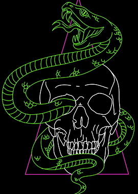 Snake And Skull