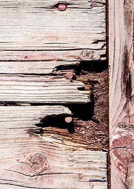 Eroded Wooden Planks
