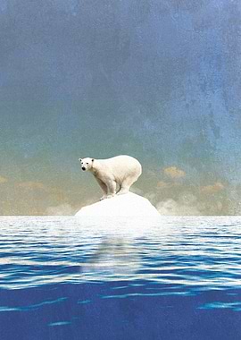 Climate Change Polar Bear