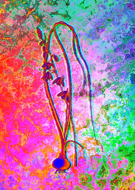 Neon Flower Illustration