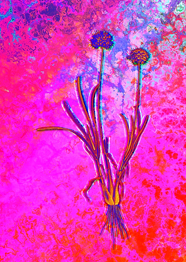 Neon Botanical Drawing