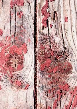 Two Old Wooden Planks