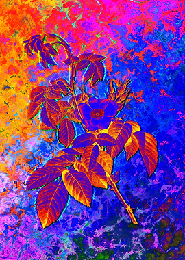 Neon Floral Illustration