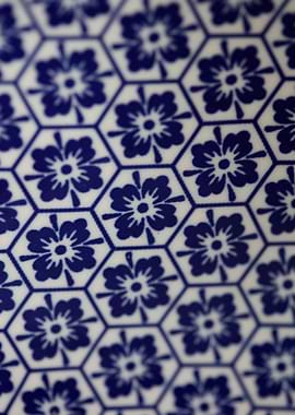 Flowers blue patterns art