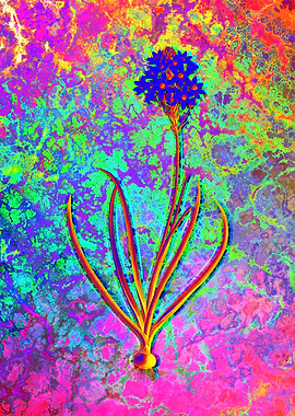 Neon Flower Illustration