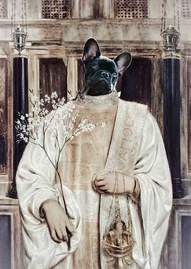 Religious dog