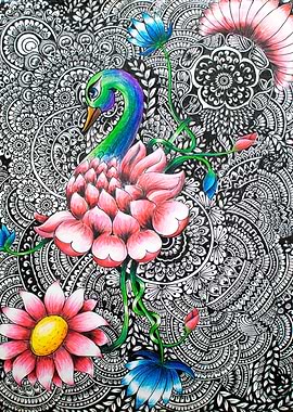 The Intricate Peacock Line