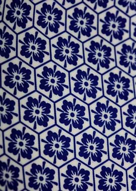 Flowers blue patterns art