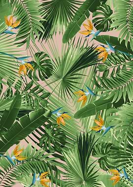 Bird of Paradise Jungle 2