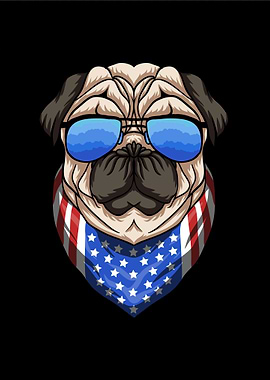 Pug Dog in Sunglasses USA