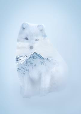 White Fox