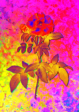 Neon Floral Illustration